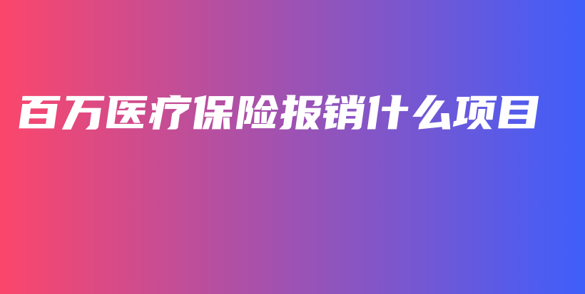 百万医疗保险报销什么项目-PLB