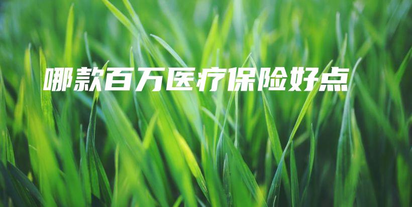 哪款百万医疗保险好点-PLB