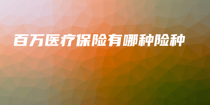百万医疗保险有哪种险种-PLB