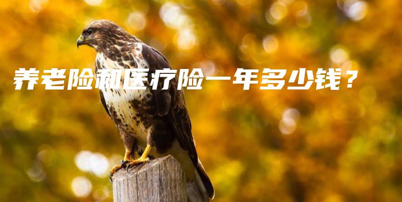 养老险和医疗险一年多少钱？-PLB