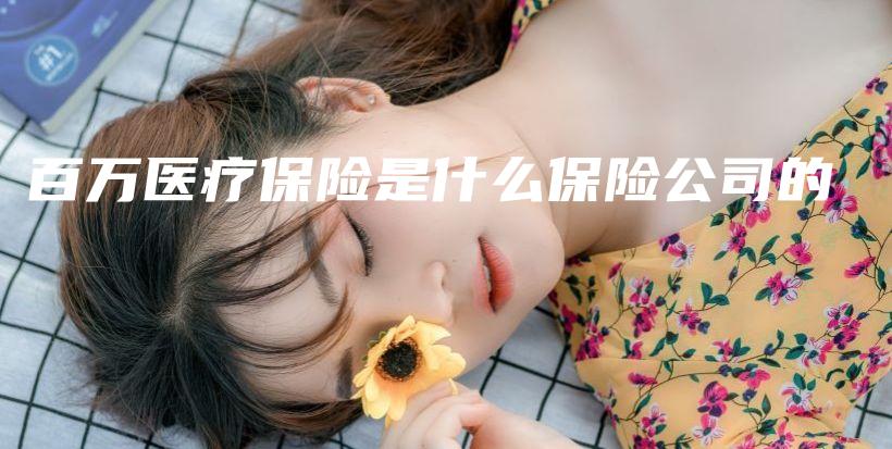 百万医疗保险是什么保险公司的-PLB