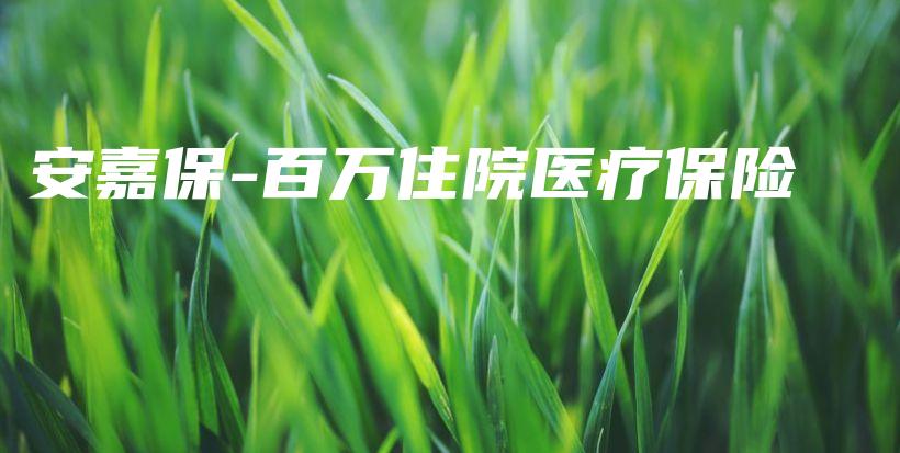 安嘉保-百万住院医疗保险-PLB