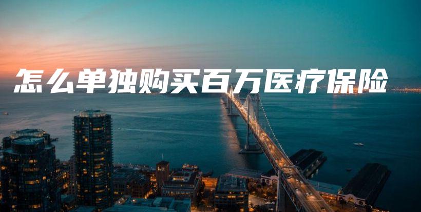 怎么单独购买百万医疗保险-PLB