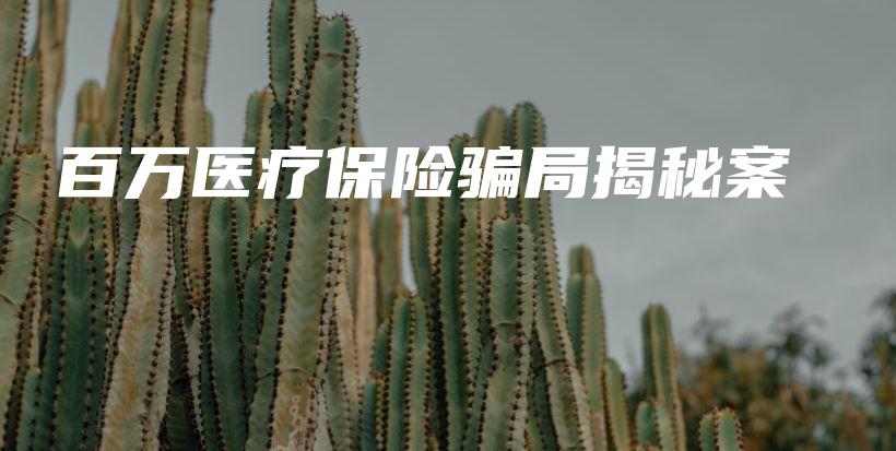 百万医疗保险骗局揭秘案-PLB
