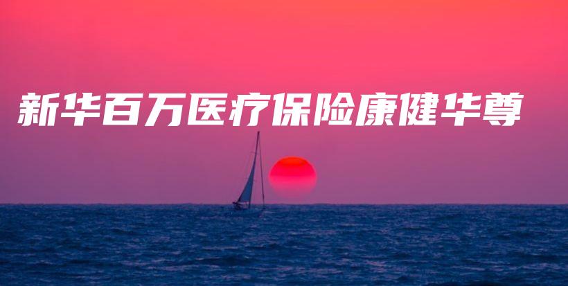 新华百万医疗保险康健华尊-PLB