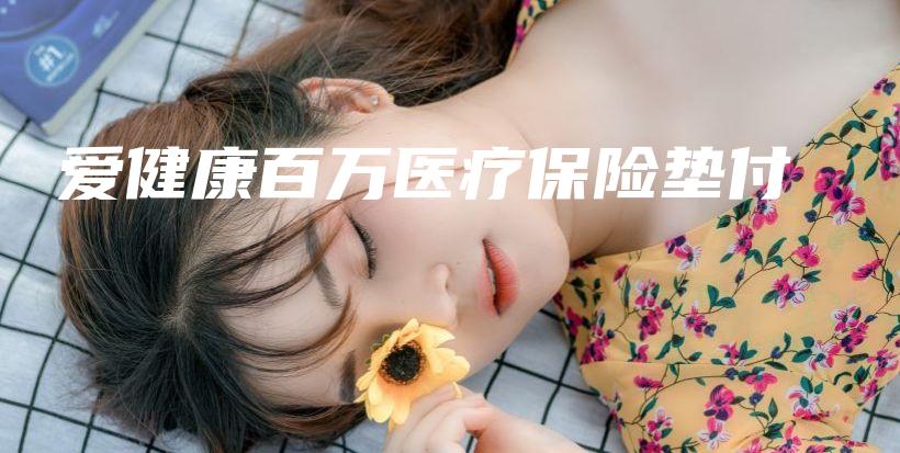 爱健康百万医疗保险垫付-PLB