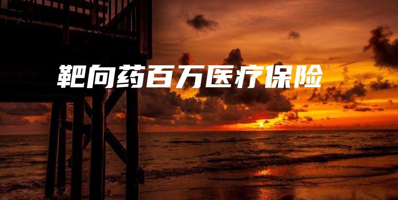 靶向药百万医疗保险-PLB