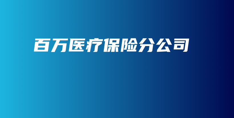 百万医疗保险分公司-PLB