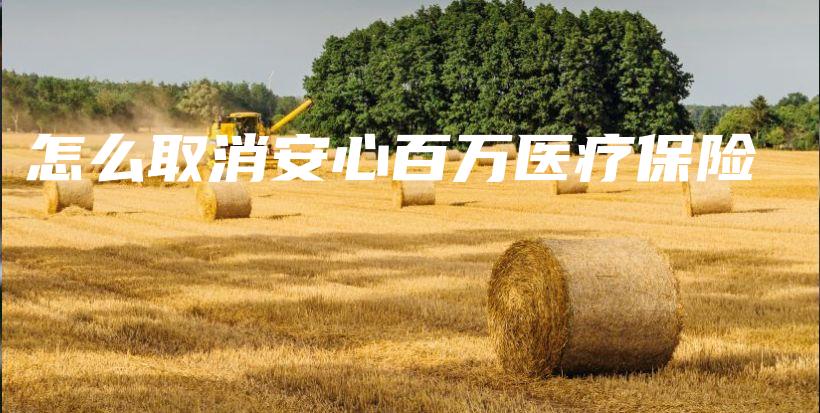 怎么取消安心百万医疗保险-PLB