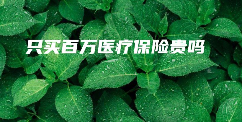 只买百万医疗保险贵吗-PLB