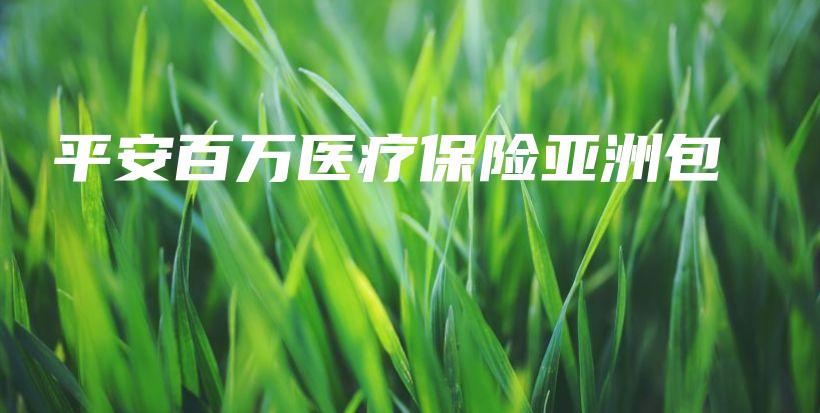 平安百万医疗保险亚洲包-PLB
