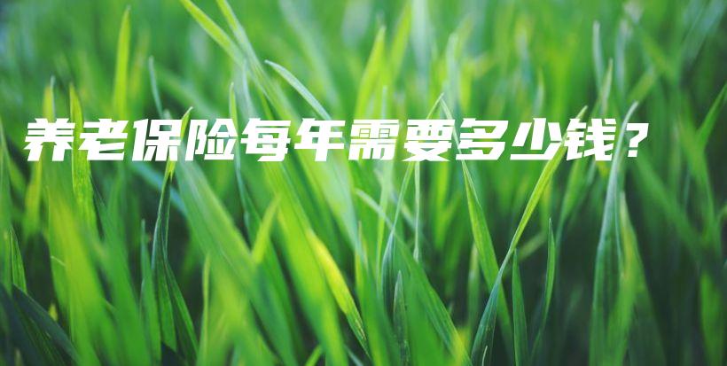 养老保险每年需要多少钱？-PLB