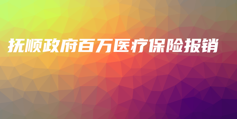 抚顺政府百万医疗保险报销-PLB