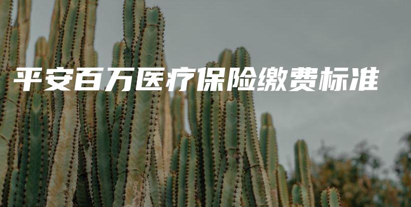 平安百万医疗保险缴费标准-PLB