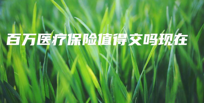 百万医疗保险值得交吗现在-PLB