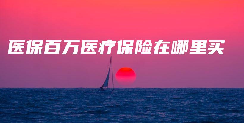 医保百万医疗保险在哪里买-PLB