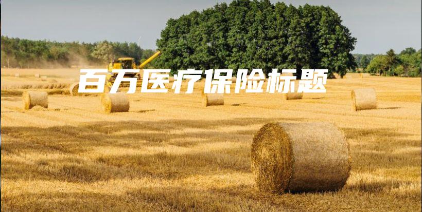 百万医疗保险标题-PLB
