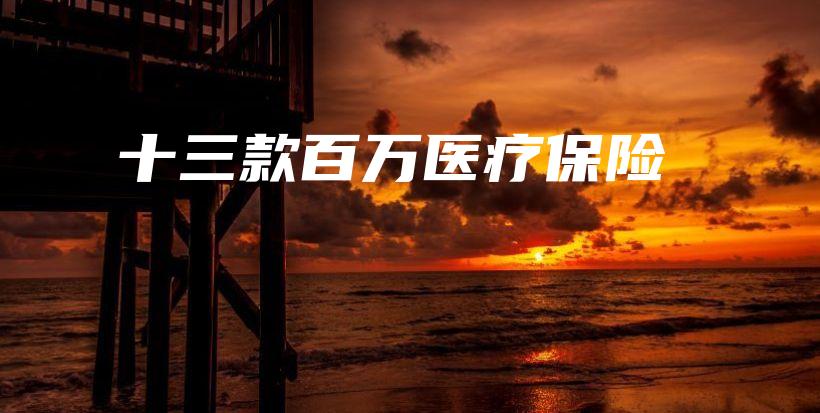 十三款百万医疗保险-PLB