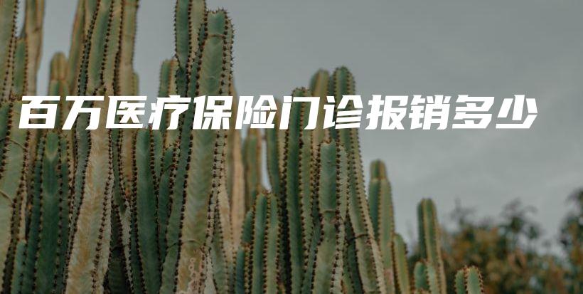 百万医疗保险门诊报销多少-PLB