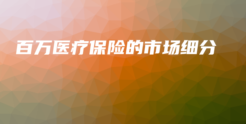 百万医疗保险的市场细分-PLB