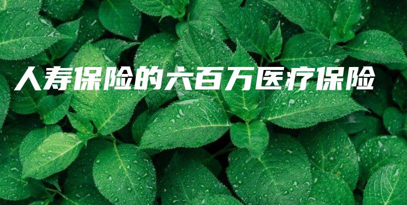 人寿保险的六百万医疗保险-PLB