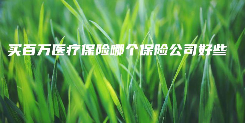 买百万医疗保险哪个保险公司好些-PLB