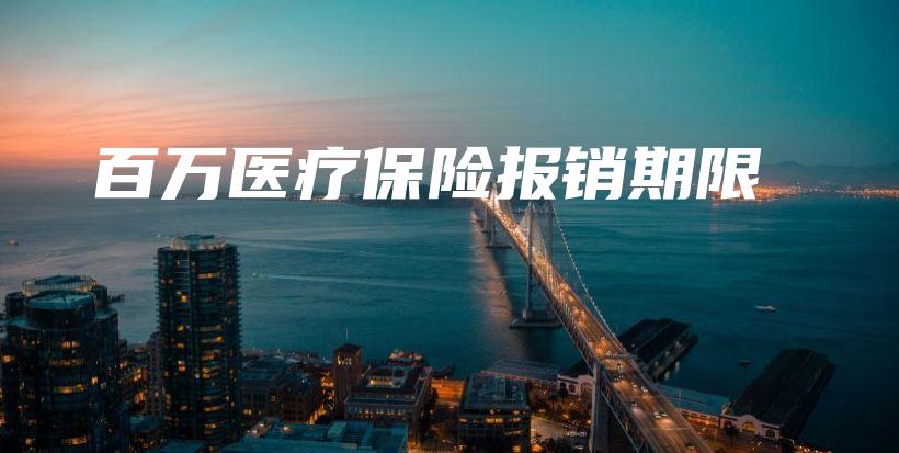 百万医疗保险报销期限-PLB
