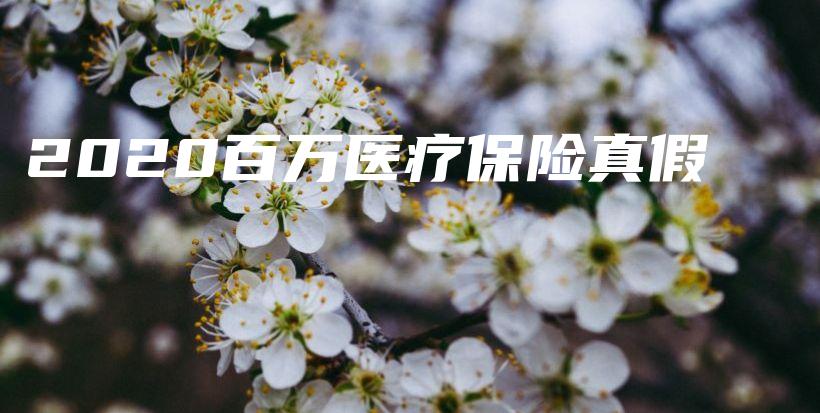 2020百万医疗保险真假-PLB