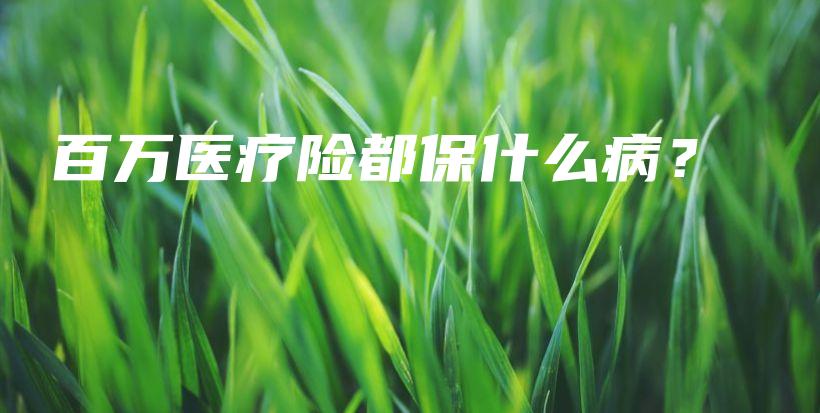 百万医疗险都保什么病？-PLB