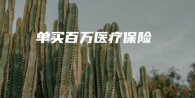 单买百万医疗保险-PLB