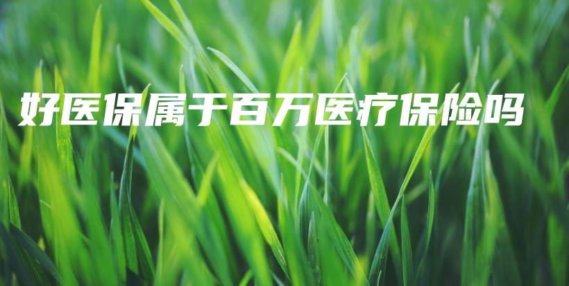 好医保属于百万医疗保险吗-PLB