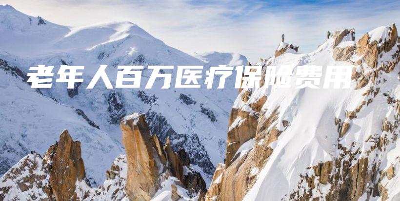 老年人百万医疗保险费用-PLB