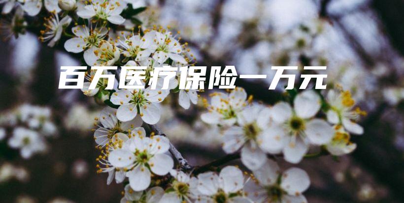 百万医疗保险一万元-PLB