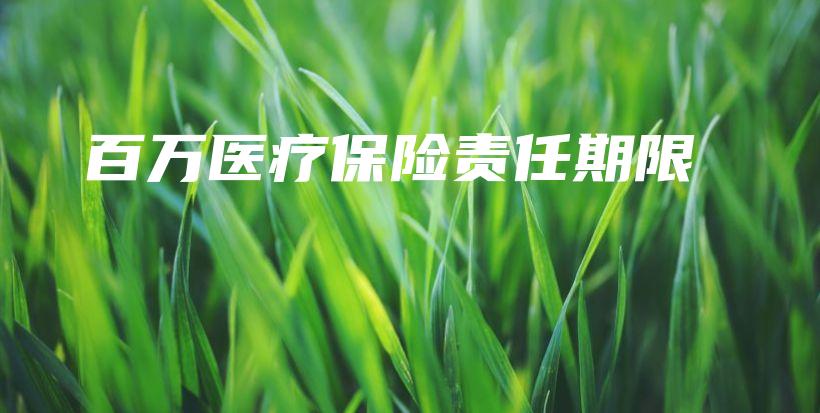 百万医疗保险责任期限-PLB