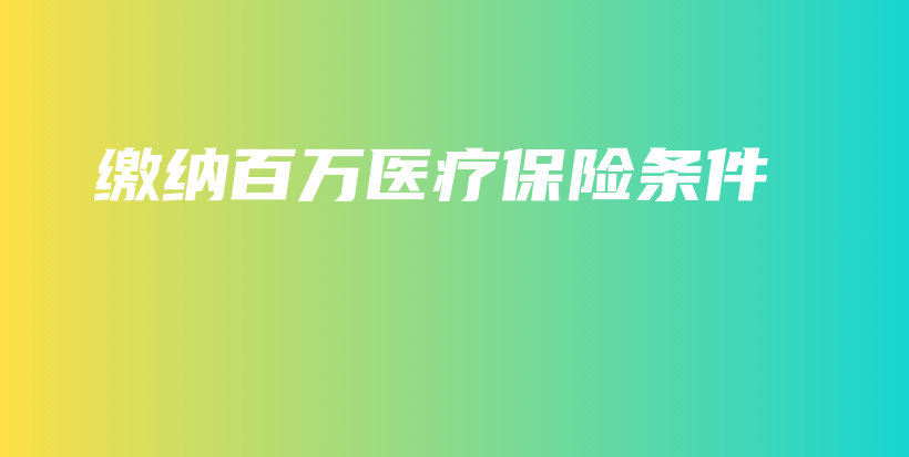 缴纳百万医疗保险条件-PLB