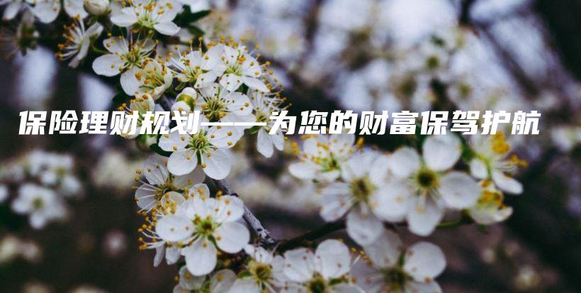 保险理财规划——为您的财富保驾护航-PLB
