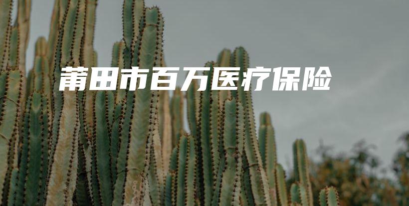莆田市百万医疗保险-PLB