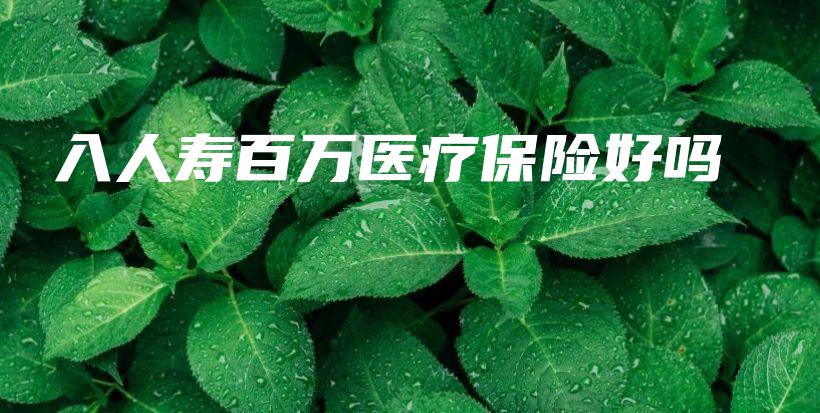 入人寿百万医疗保险好吗-PLB