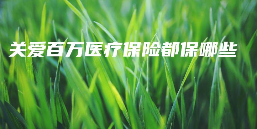 关爱百万医疗保险都保哪些-PLB