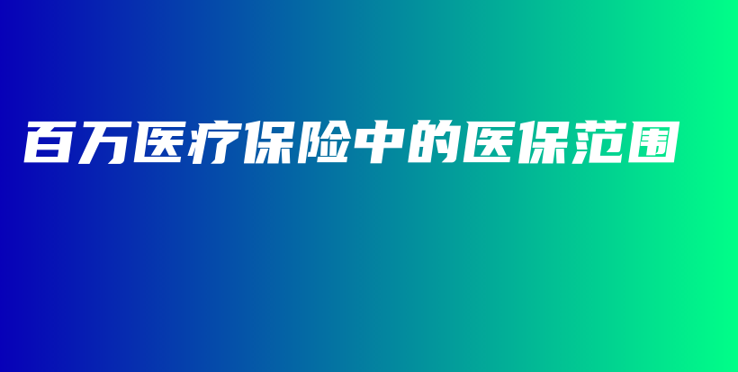 百万医疗保险中的医保范围-PLB
