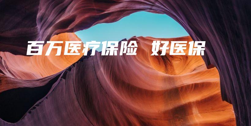百万医疗保险 好医保-PLB