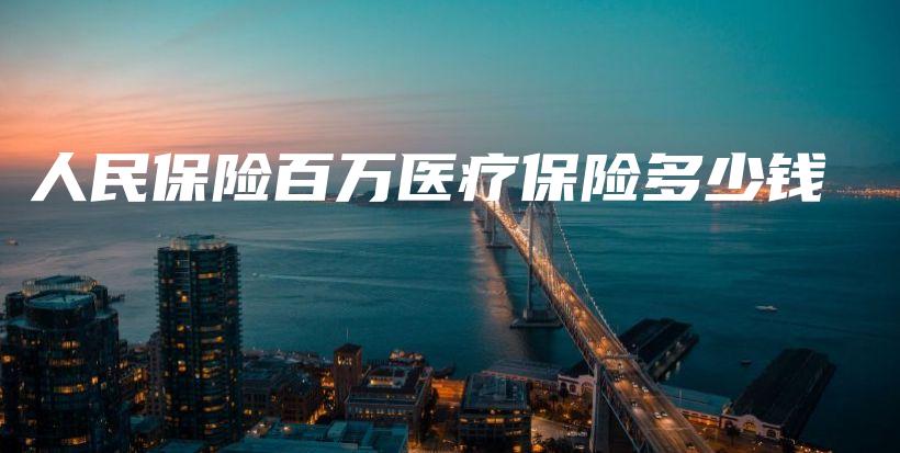 人民保险百万医疗保险多少钱-PLB