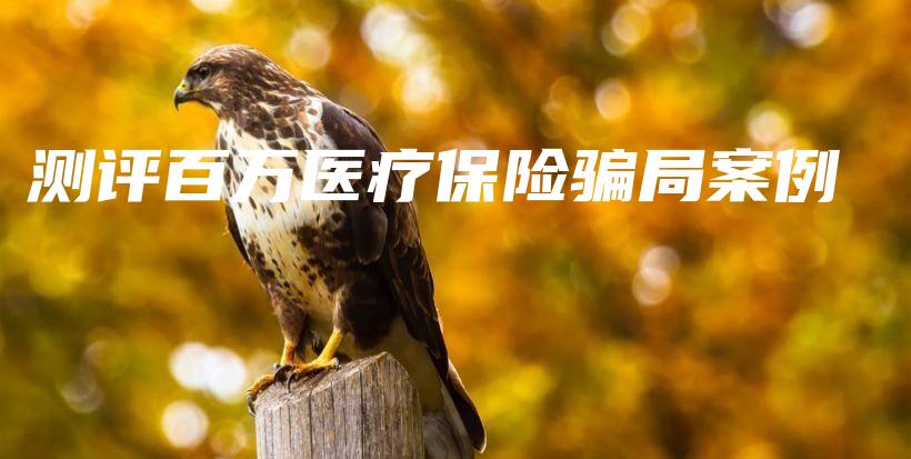 测评百万医疗保险骗局案例-PLB