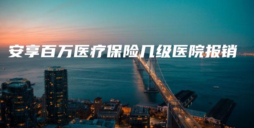 安享百万医疗保险几级医院报销-PLB