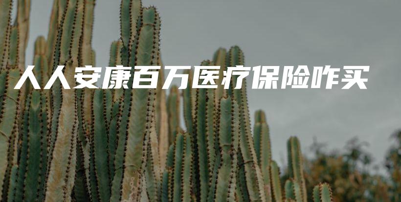 人人安康百万医疗保险咋买-PLB