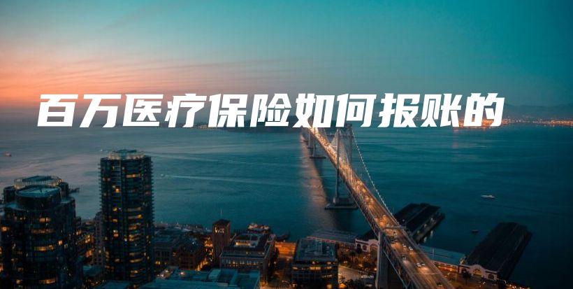 百万医疗保险如何报账的-PLB