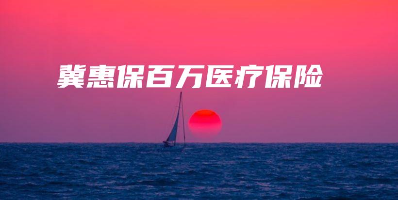 冀惠保百万医疗保险-PLB