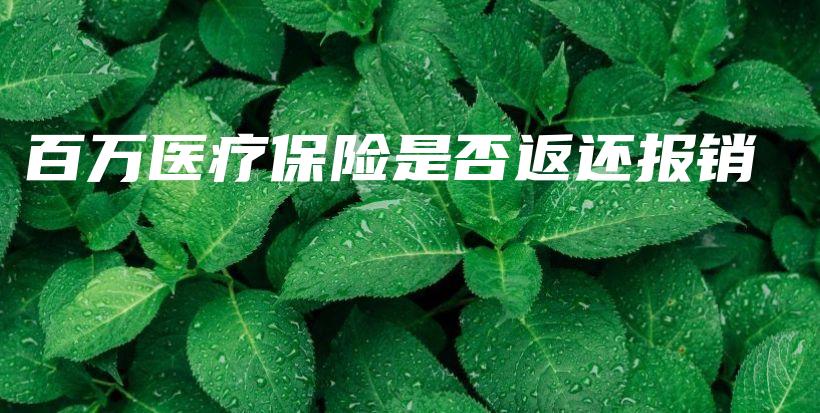 百万医疗保险是否返还报销-PLB