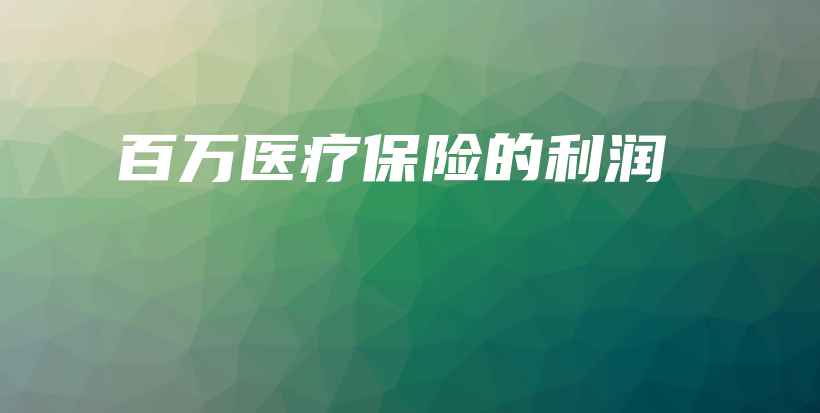 百万医疗保险的利润-PLB