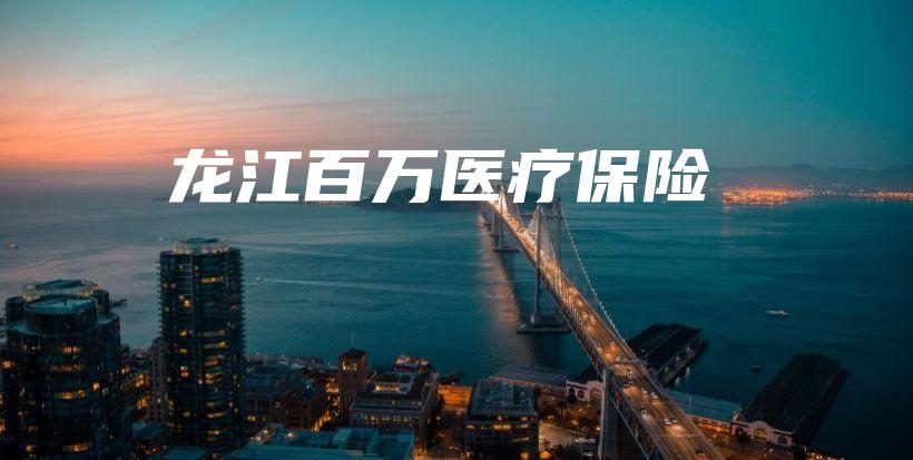 龙江百万医疗保险-PLB